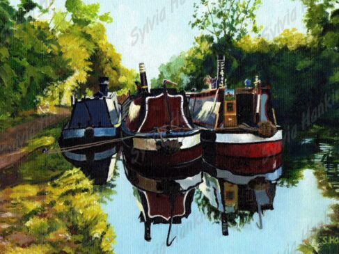Braunston Rally 2010