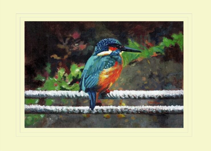 Kingfisher at Braunston Print