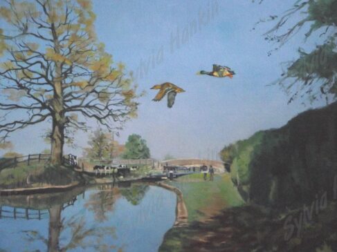 Spring day at Audlem