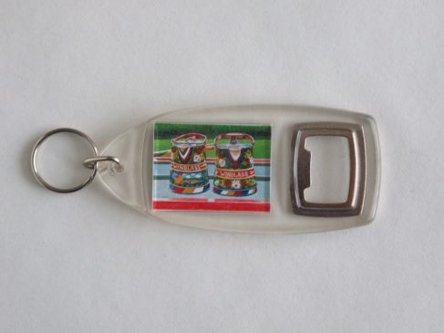 Key ring & bottle opener