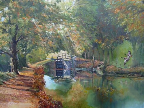 Basingstoke canal
